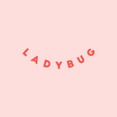 ladybug 🐞