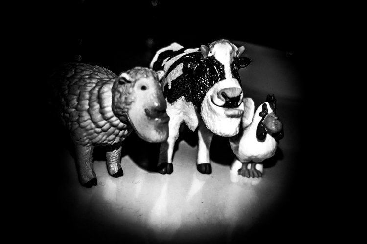 okdhiro1's profile picture. インフラ/データエンジニア/GCP/ AWS/
最近はAWSメインの業務自動化何でも屋さん