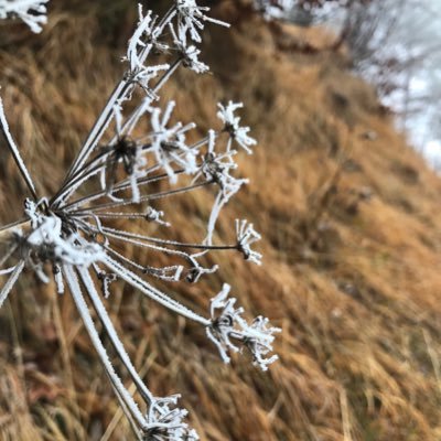 MathisVoegelin's profile picture. 