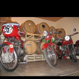 Dahermanator's profile picture. 