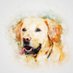 Pet Portraits (@PetPortraits_) Twitter profile photo