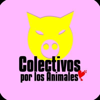👥 Líderes en protección animal, representantes de las 20 localidades en Bogotá.🐾