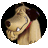 FixitMJC's profile image
