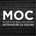 Museo de Bellas Artes Octavio de la Colina (@mocmuseolr) Twitter profile photo Museo de Bellas Artes Octavio de la Colina (@mocmuseolr) Twitter profile photo