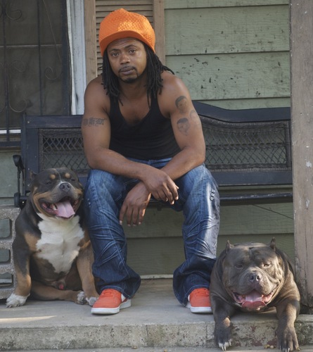 MRTHROWD1's profile picture. Kennel located in San Antonio,Texas. Breeder of American Bully PITBULL know as American Bully
HOME OF ABKC CH WILLIE ESCO AND ABKC CH BLADE