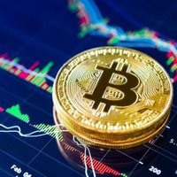 crypto news for tradingTA (@cryptonewsta) 's Twitter Profile