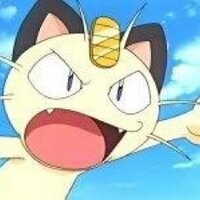 Meowth (@meowthdatsright) 's Twitter Profile