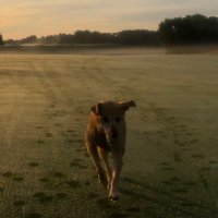 Josh Saunders (@jsaunderslcc) 's Twitter Profile