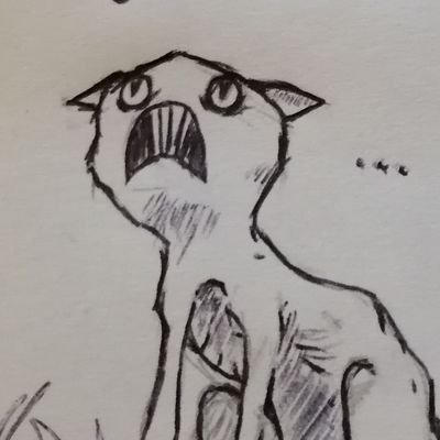 pyoさんのプロフィール画像