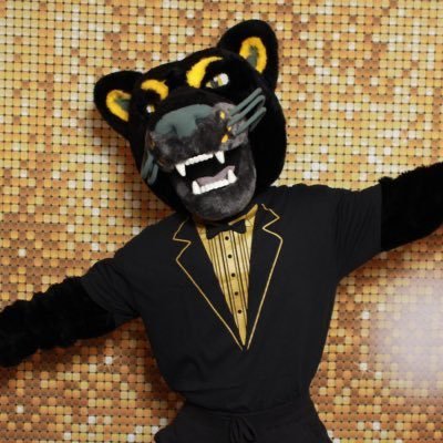 PouncePanther's profile picture. Official mascot of the @MKEPanthers! #UnitedWeRoar