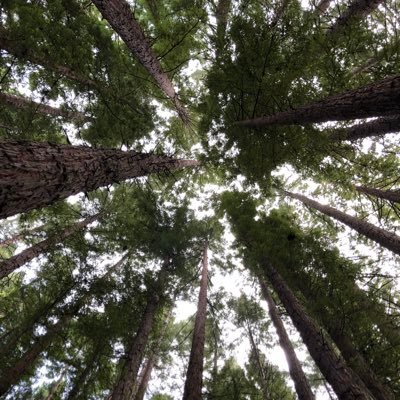 OfTransgender's profile picture. Raising a trans kid in Australia. Pronouns She/Her. BK=Big Kid. LK=Little Kid