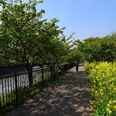 浦高→三流大学6年→卒業後は流浪の民。目的は特になく鉄道を写真として記録し、取り止めのない言葉を小説にまとめています。写真素材 - PIXTA https://t.co/vP5mOwdXyJ