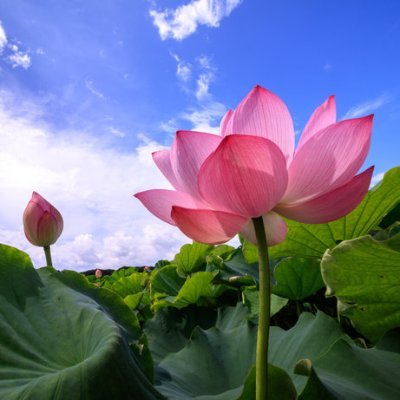 rAFh8v8DXB649O9's profile picture. ツイッターは便利ですね、、、ボケ防止に（笑）

基本的にはジョークをつぶやいています
でも、政治絡みでツイートすると、なんでだろう？？？
なぜか自然とブラック的、嫌み的、皮肉的、悲観的なジョークになってしまうのでしかたないのです
私のせいではありません

普通のジョークツイートばかりになるよう、腐りきった政治を変えたい