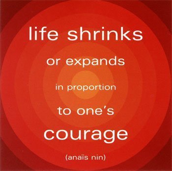 Courage is knowing that something else is more important than fear.