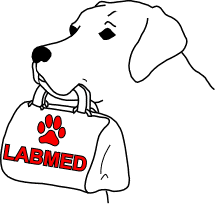 Since 1996, LABMED has funded the medical needs of more than 1100 Labrador retrievers and Lab-mixes in rescue. Our staff is 100% volunteer.