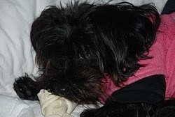 MyTwoPinkPeas's profile picture. Blogging about #Crafting, #BlogHops, #Reviews, #Freebies, #Giveaways, #PRFriendly, #Family, #AmazingDeals, #Crafts! #Pinterest-A-Holic #Cricut, #Stamps, #TimHol