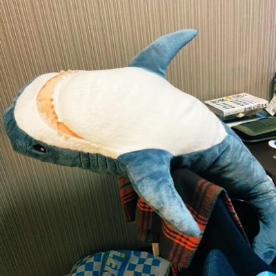 rikiy817's profile picture. バレパ20/モス/昼寝/イケアのサメ/ヤドン