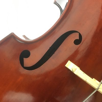 Contrabass Electric Bass