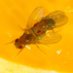 PhilipsbornLab - now on Mastodon! (@philipsbornl) Twitter profile photo PhilipsbornLab - now on Mastodon! (@philipsbornl) Twitter profile photo