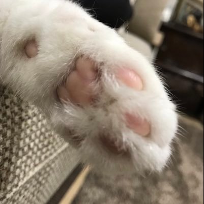 PE73nTMen4kSwrB's profile picture. ご飯と昼寝と猫が好き。 おばさんのひとりごと。