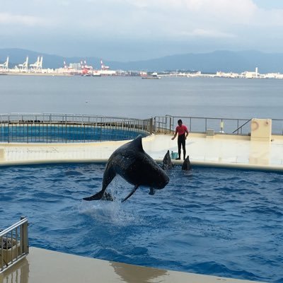 pa1さんのプロフィール画像