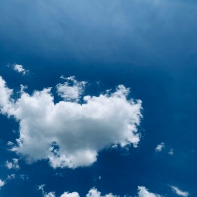 whitespaces00's profile picture. Here for the news & comedy.