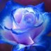 Rebecca (@rebecca61979684) Twitter profile photo Rebecca (@rebecca61979684) Twitter profile photo