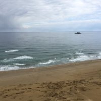 くろっつぇ (@milka_dolce) Twitter profile photo