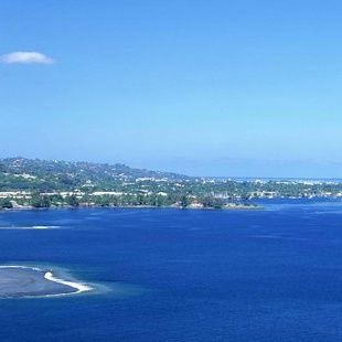 korolliu's profile picture. 