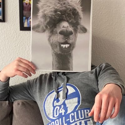 Norddeutsch | Informatiker | Nerd | Schalker | Bildungsentertainer
