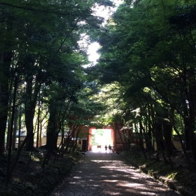 ネ申束頁みさんのプロフィール画像