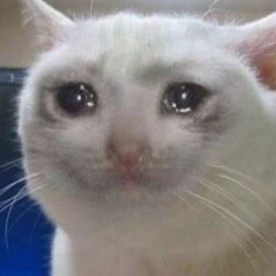 MemeTech1's profile picture. MemeTech