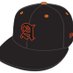 Amherst Tigers Baseball (@amhersttigersbb) Twitter profile photo