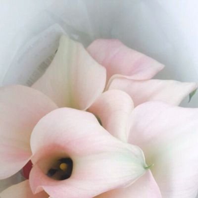 Dena87853030's profile picture. 