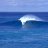 dahrasurf's profile image