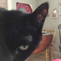 sueknight (@suerichk72) 's Twitter Profile