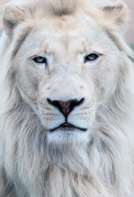 Stanislas0007's profile picture. 