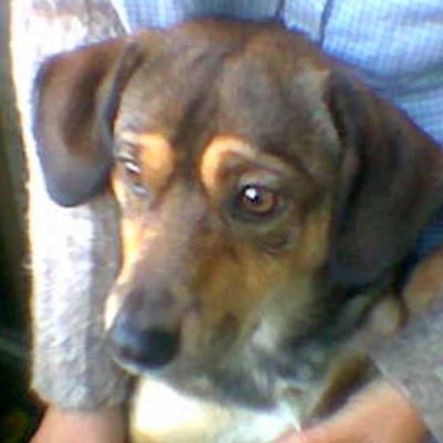 BcnLaly's profile picture. 