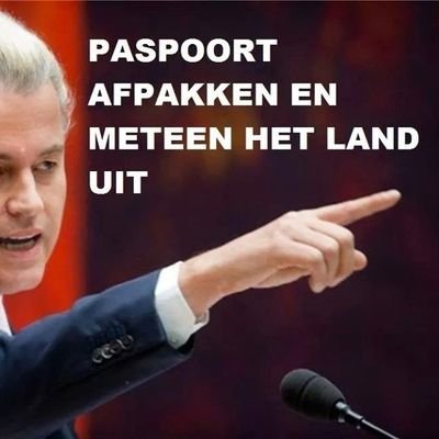 Raymon 🇳🇱 PVV 4 life, f*ck links en islam 🇳🇱 Profile