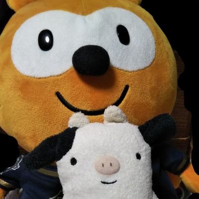 どっこいしょ(仙台貨物大好きな関東民のオスです)鷹の爪も好きです。オリックスバファローズも好きです。好きな選手はT-岡田選手。バドミントン好きです。フモフモさん好きです。推しフモフモさんは、うーも・まはも・じととetc.
競馬にもハマっております(主に南関競馬)
無言フォロー度々しますが、よろしくお願いします😁