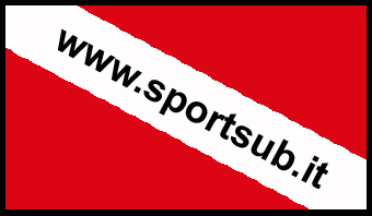 SportSub's profile picture. 