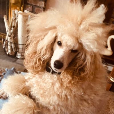 pjtownsend3's profile picture. 