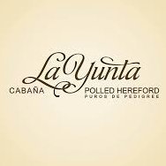 Cabaña La Yunta. Criadores de Raza Polled #Hereford. Genética de Puro Pedigree Hereford. Reproductores Destacados + Semen + Embriones. https://t.co/ffv8FKxAIV