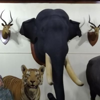 Nandan_400's profile picture. Admirer of Indian culture/Indian history and heritage,Sports buff,Software engineer by profession