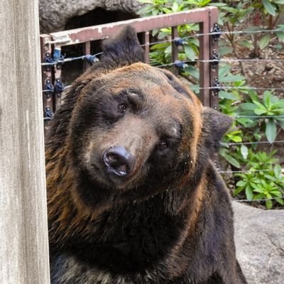 樋口　憂さんのプロフィール画像