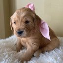 Aaron DeBoer - @AaronDeBoer5 - Twitter