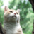 jhs1953's profile image