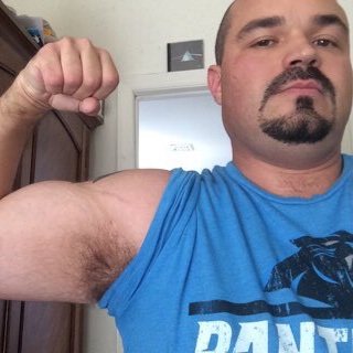 TheMagickalOwl's profile picture. 18+ Only.  Piggy Bear 🐷🐻