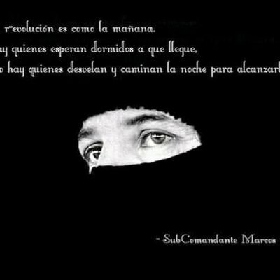 IlichGutirrez1's profile picture. Ilich Gutiérrez