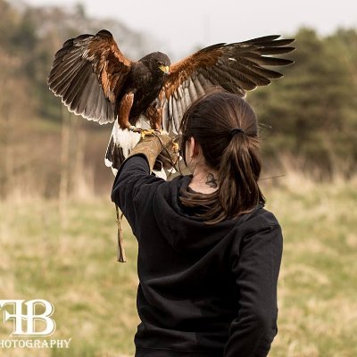 Bat nerd | Bird person (but not a birder) | Assistant Ecologist | She/her